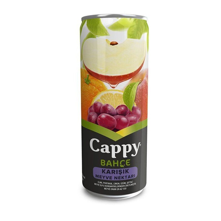 Cappy Karışık (33 Cl)