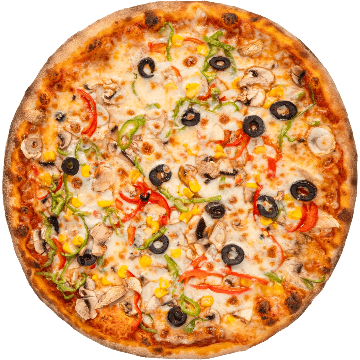 Vejeteryan Pizza (Orta)