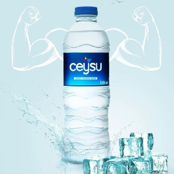Su