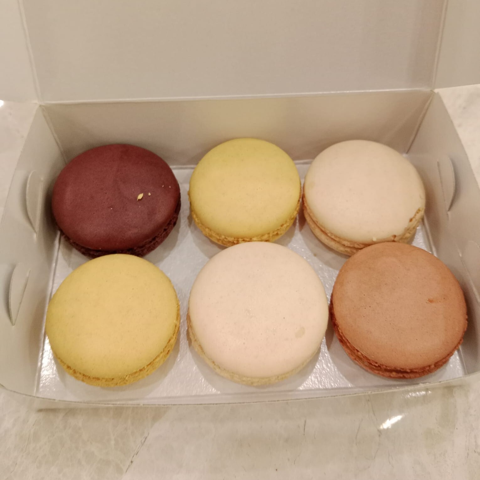 Melodi Makaron (6 Adet)