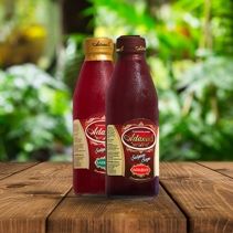 Adanus Şalgam Suyu (33cl.)