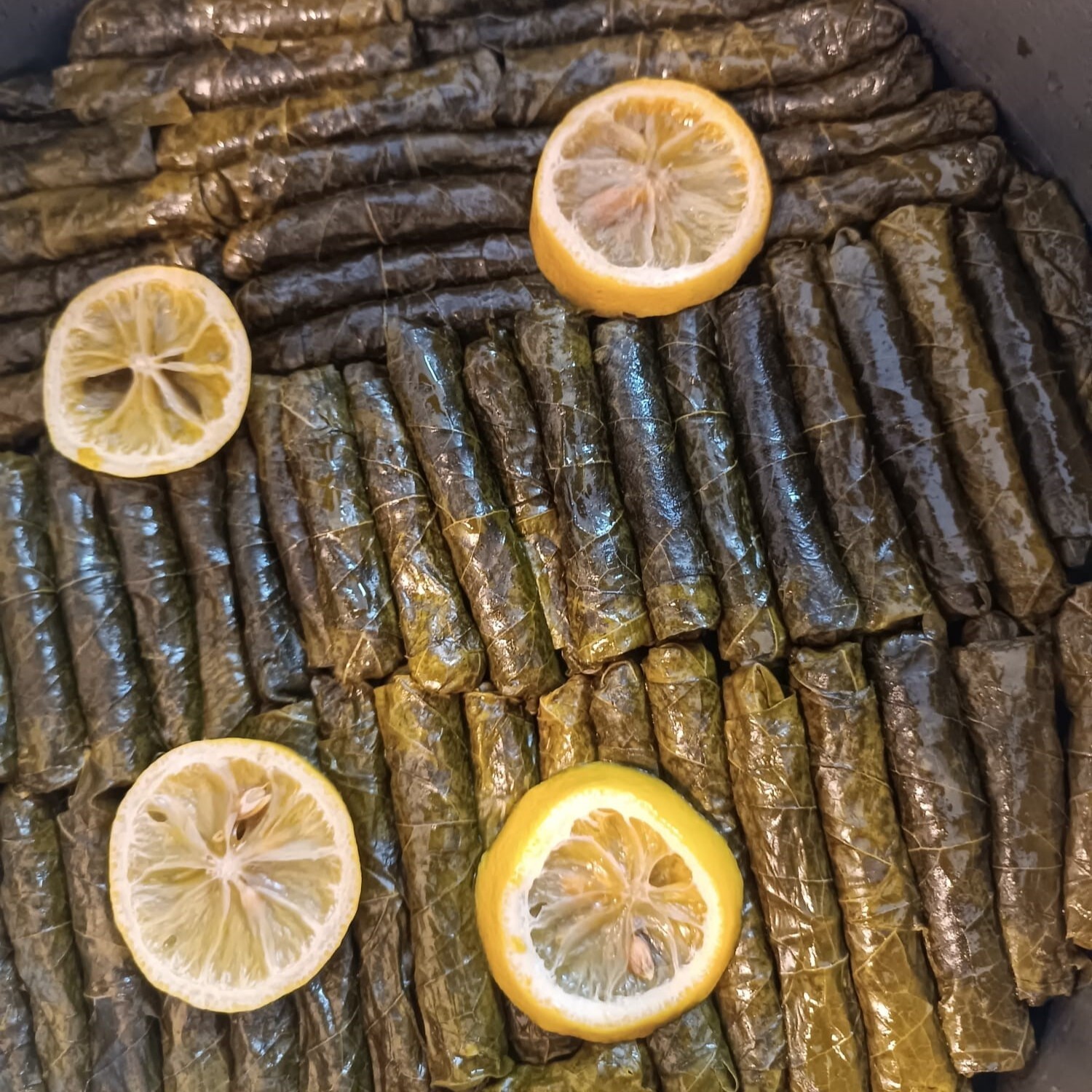Yaprak Sarma Zeytinyağlı (1 kg)