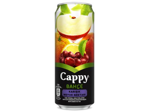 Cappy Karışık (33 cl.)