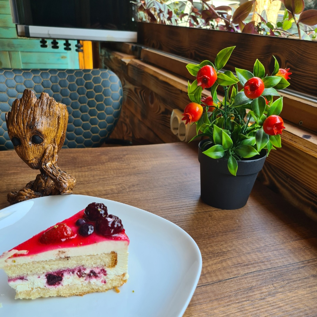 Orman Meyveli Harika Pasta Tatlı Ustası Groot Cafe