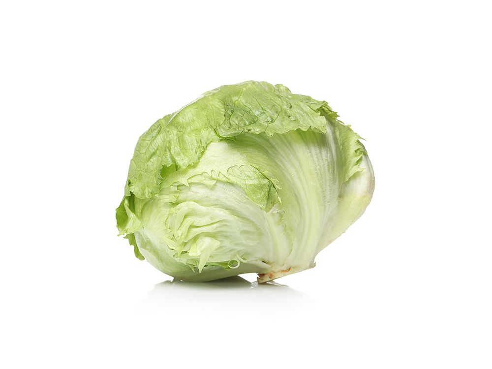 Iceberg Marul (Tüm Göbek)