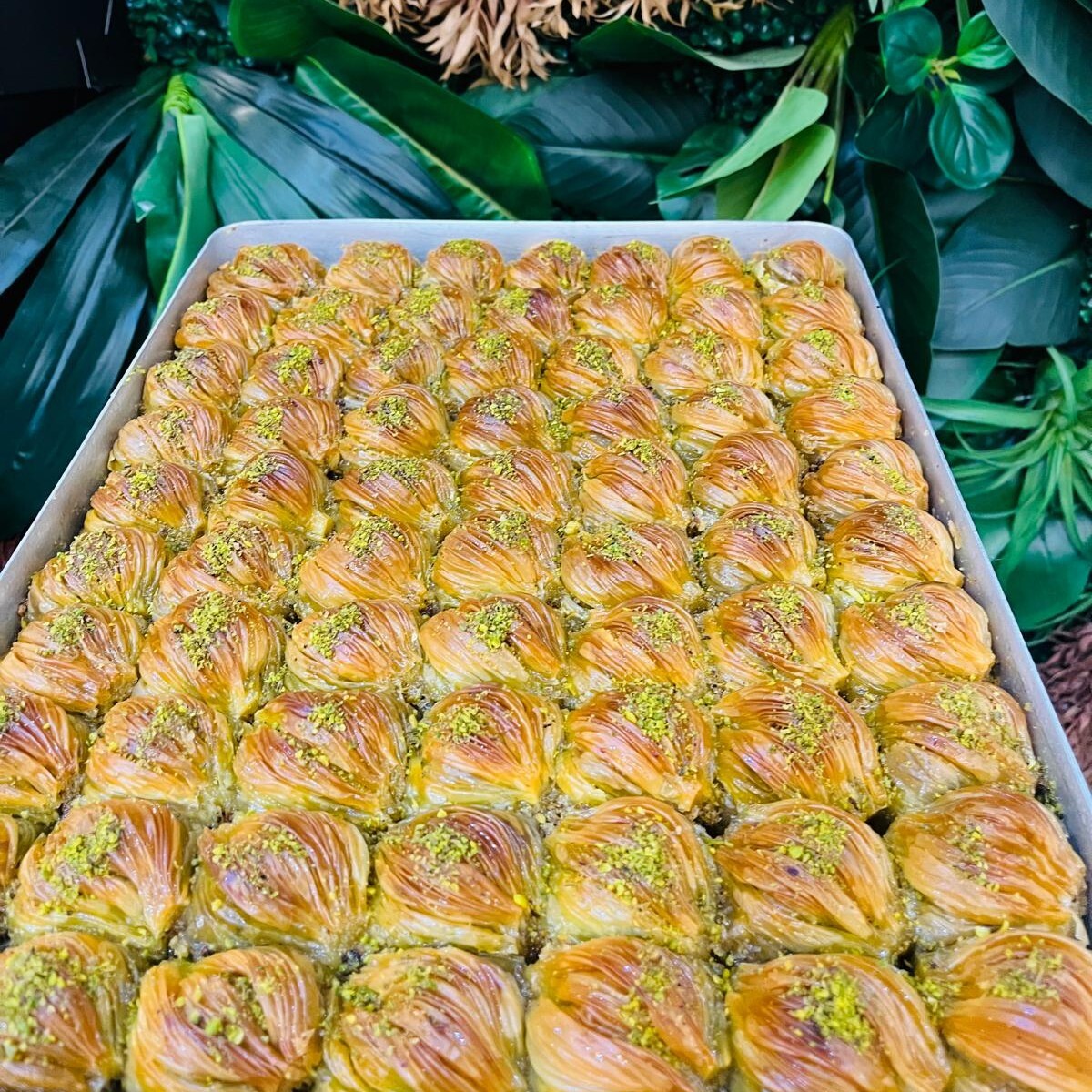 Midye Baklava Kaymaklı Fıstıklı (500 gr)
