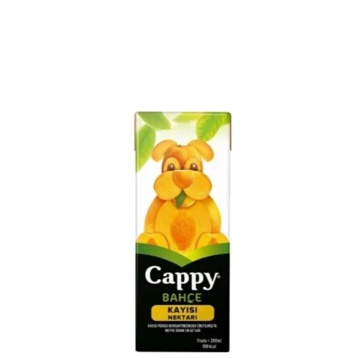 Cappy Kayısı (200 ml)