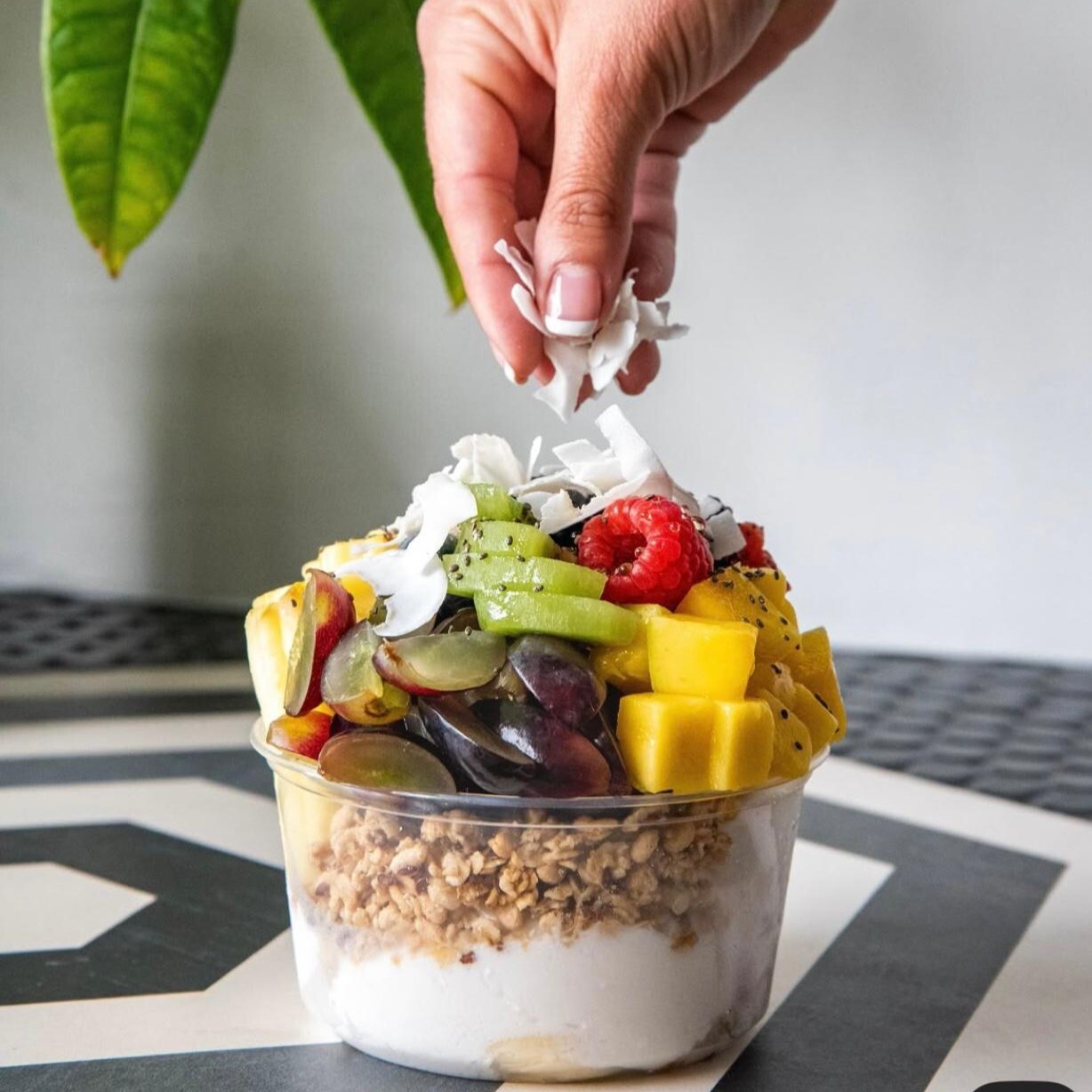 Granola Bowl