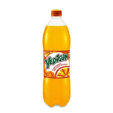 1 Lt Yedigün