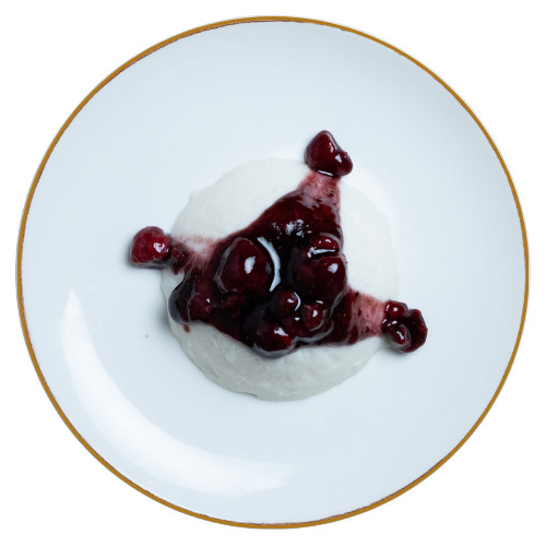 Panna Cotta Orman Meyveli