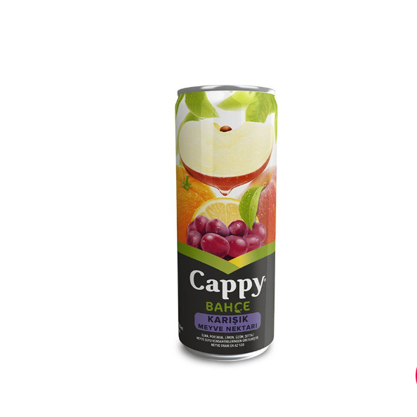 Cappy (25 cl.)