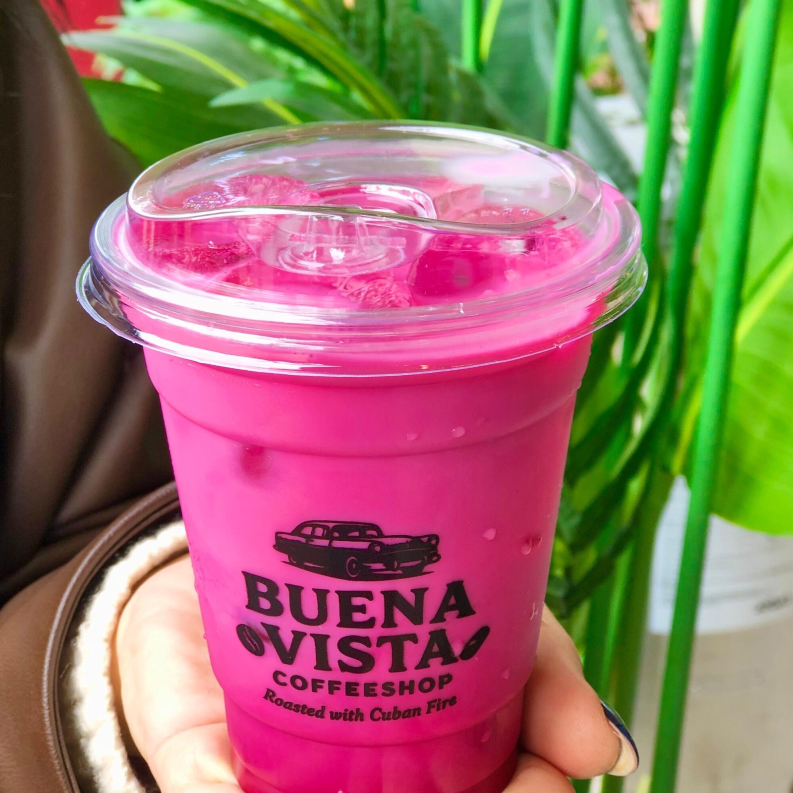 Iced Pink Matcha Latte