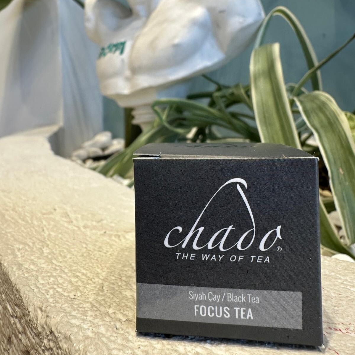 Focus Tea (Bitki Çayı)
