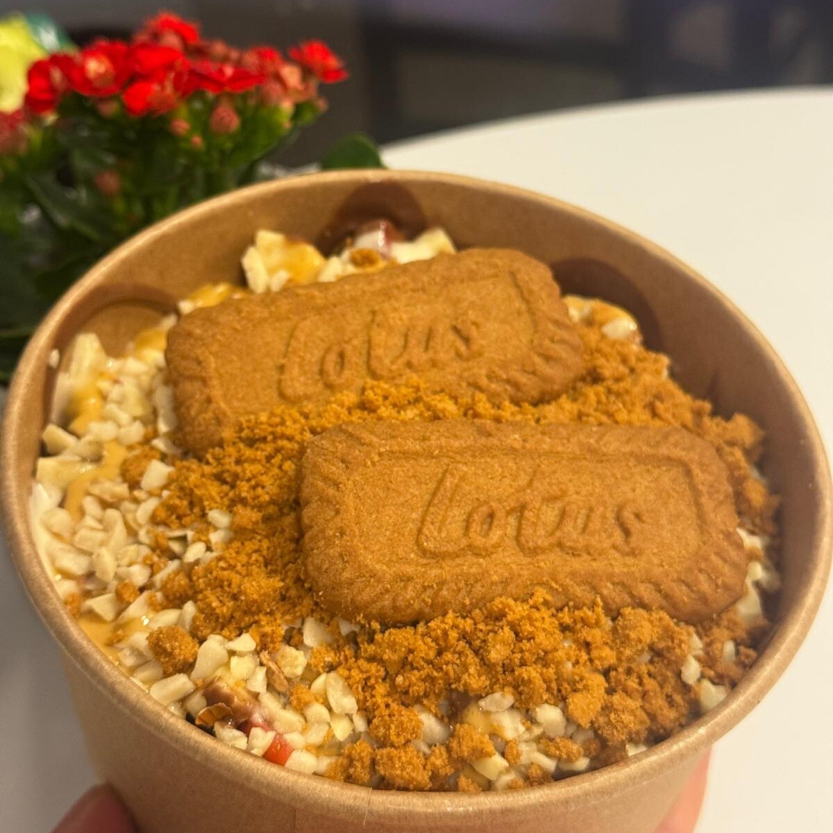 Lotus Kova Waffle ( Orta Boy)
