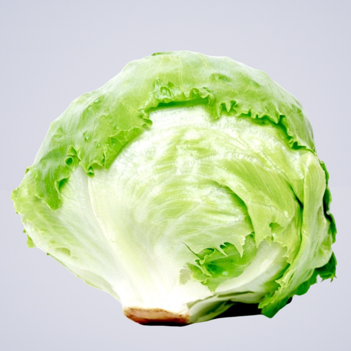 Bütün Iceberg