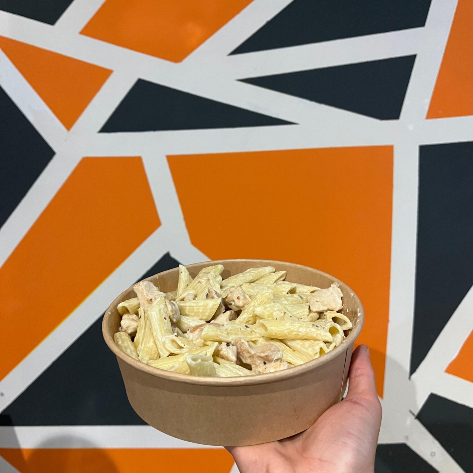 Alfredo Soslu Tavuklu Penne