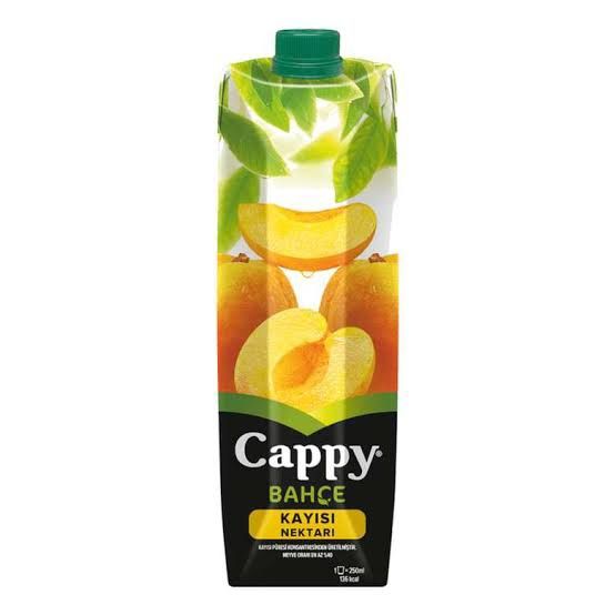 Cappy Kayısı 1 Lt.