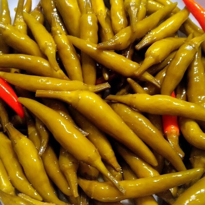 Acı Biber