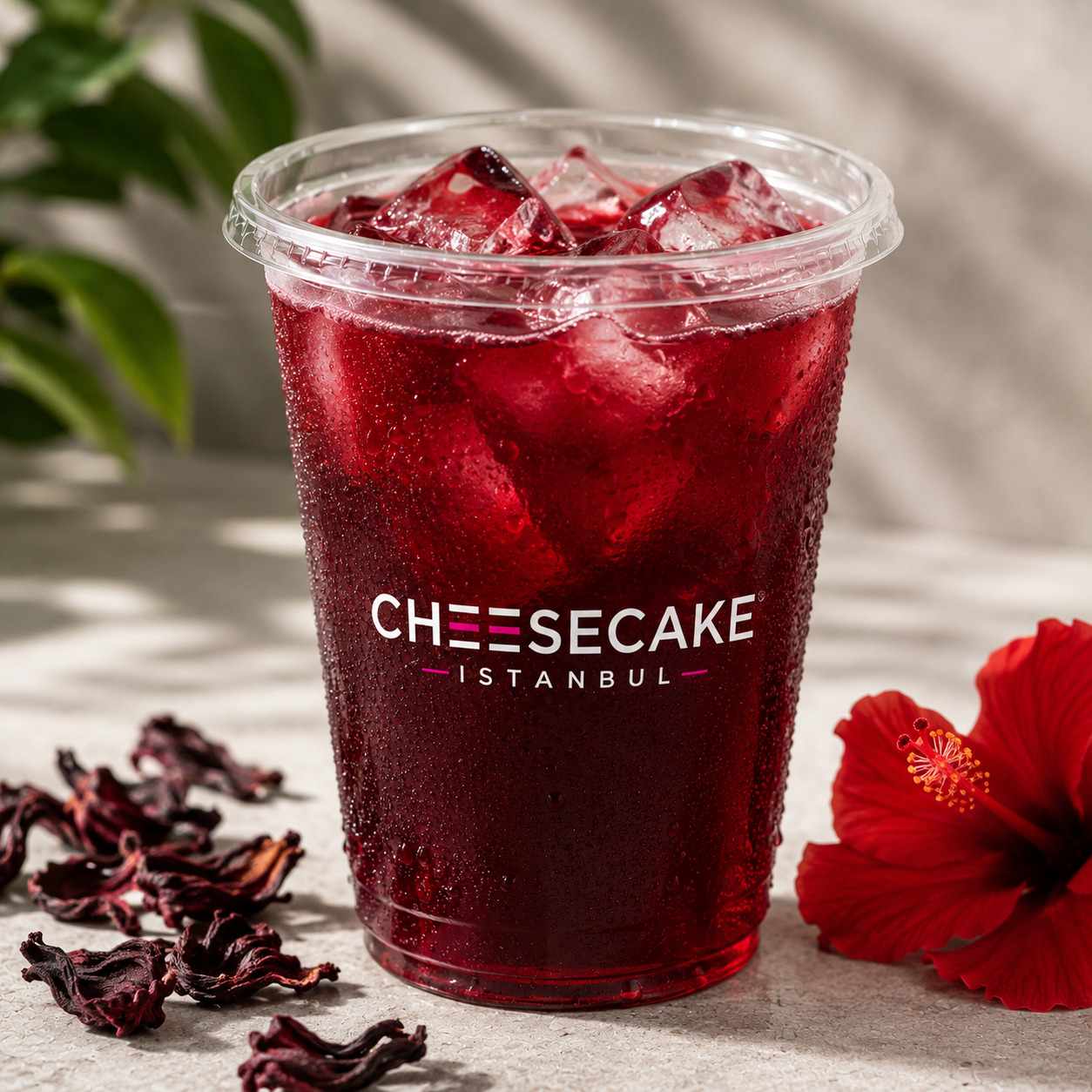 Mokteyl (Hibiscus)