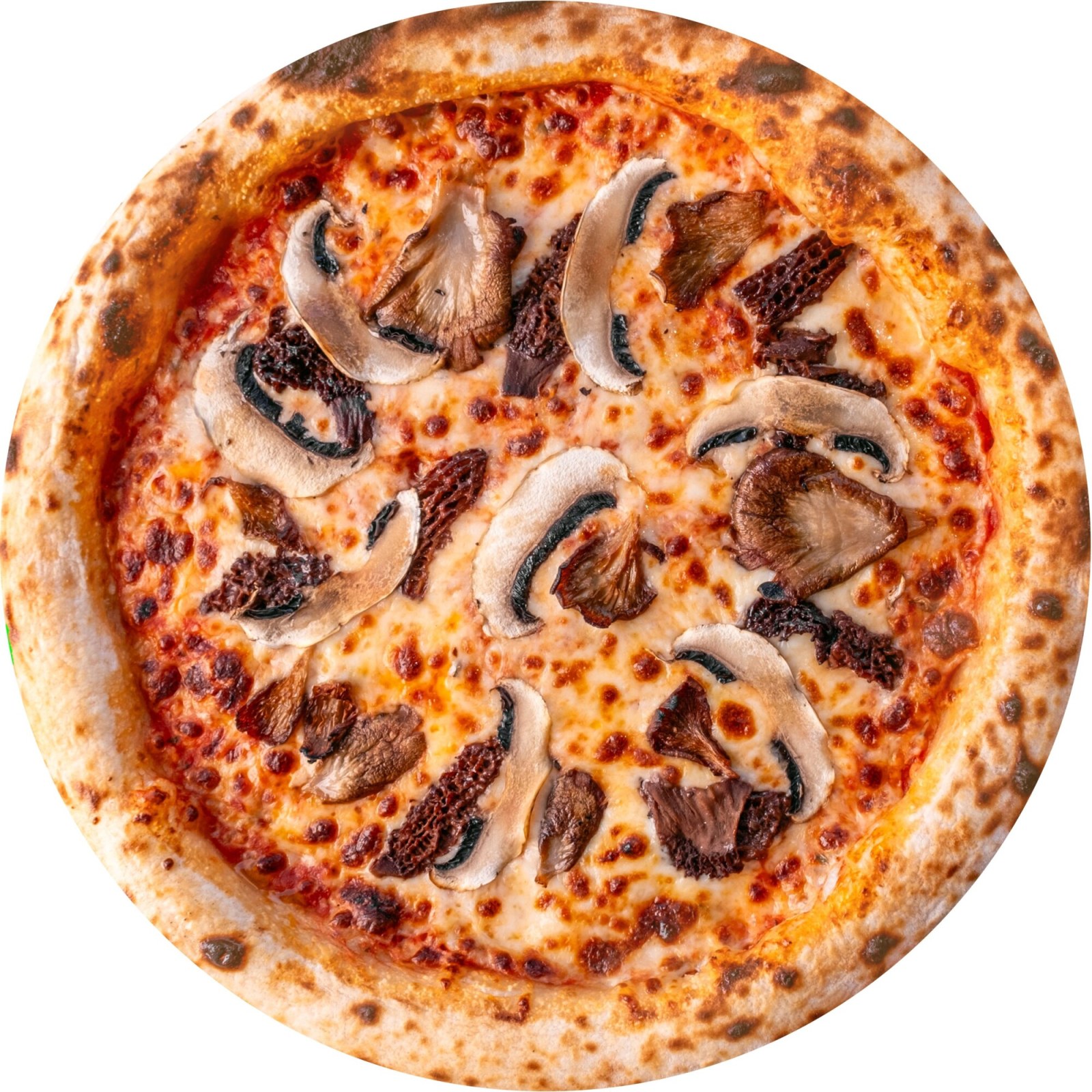 Dağ Mantarları Pizza