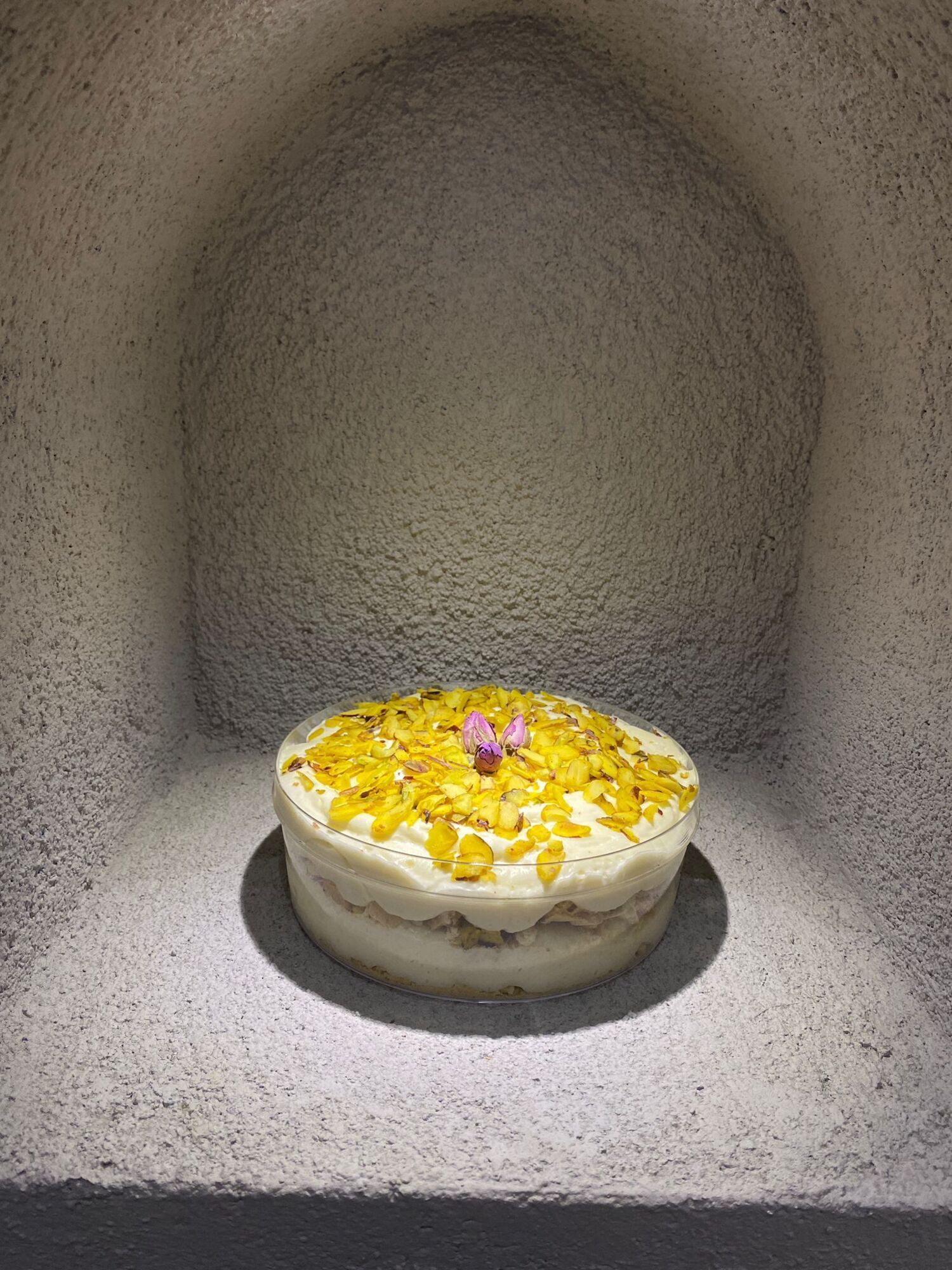 Antep Fıstıklı Magnolia ( Aile Boy )