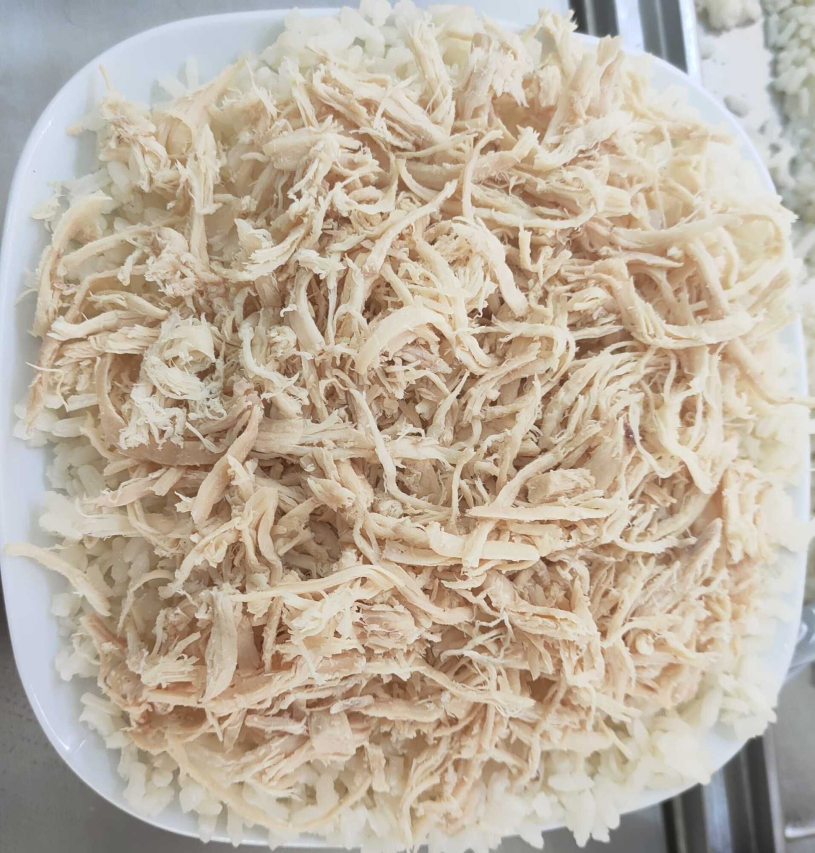 Sporcu (100 Gr Tavuk) Küçük