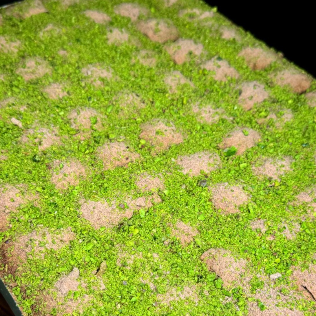 FISTIKLI SOĞUK BAKLAVA 500 gr