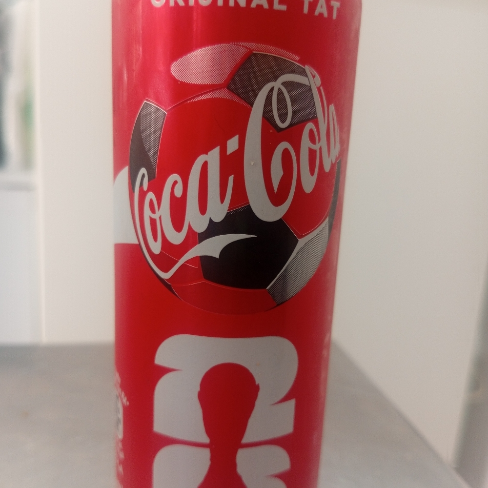 Kutu Coca Cola (250 ml)