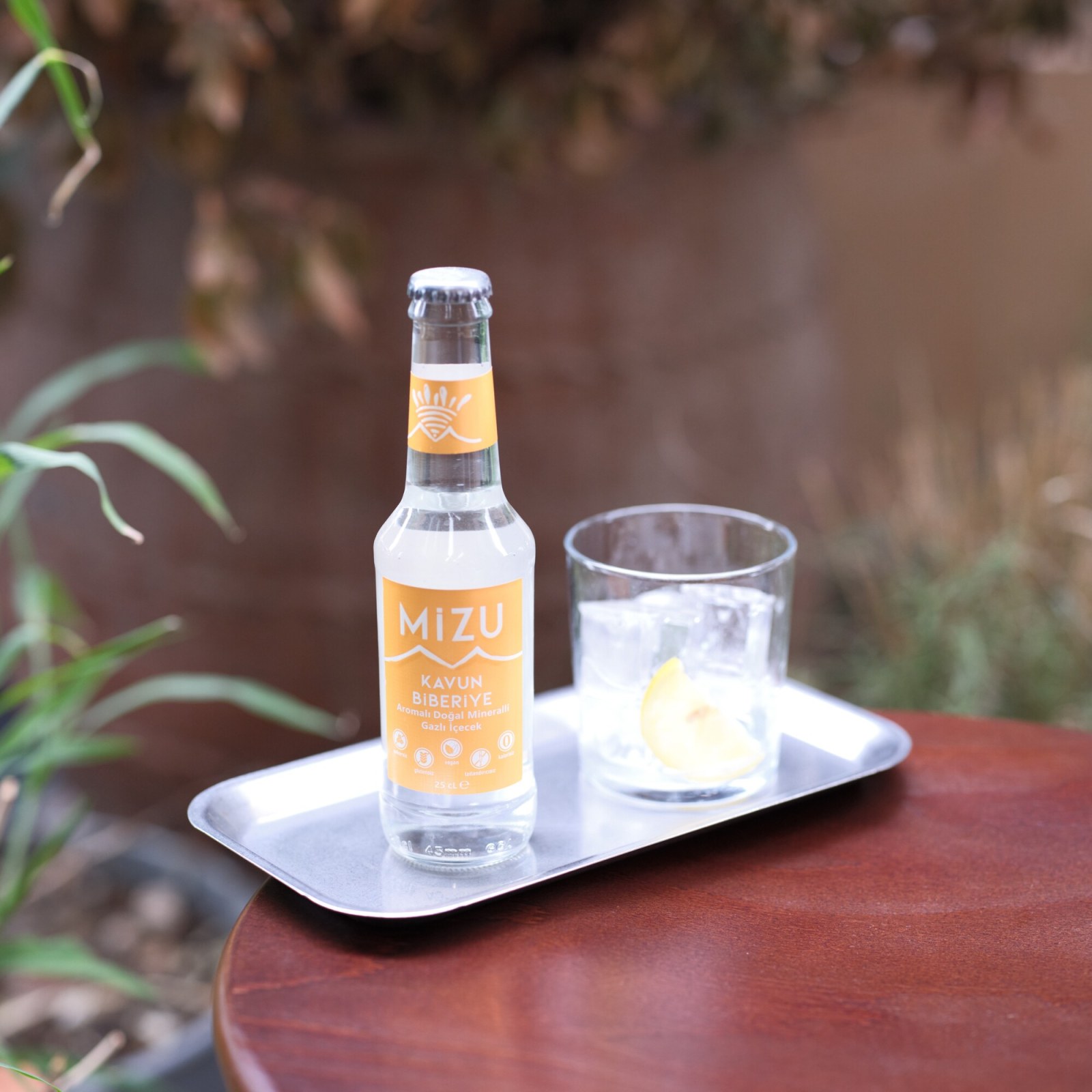 Mizu Mango Mürver Çiçeği