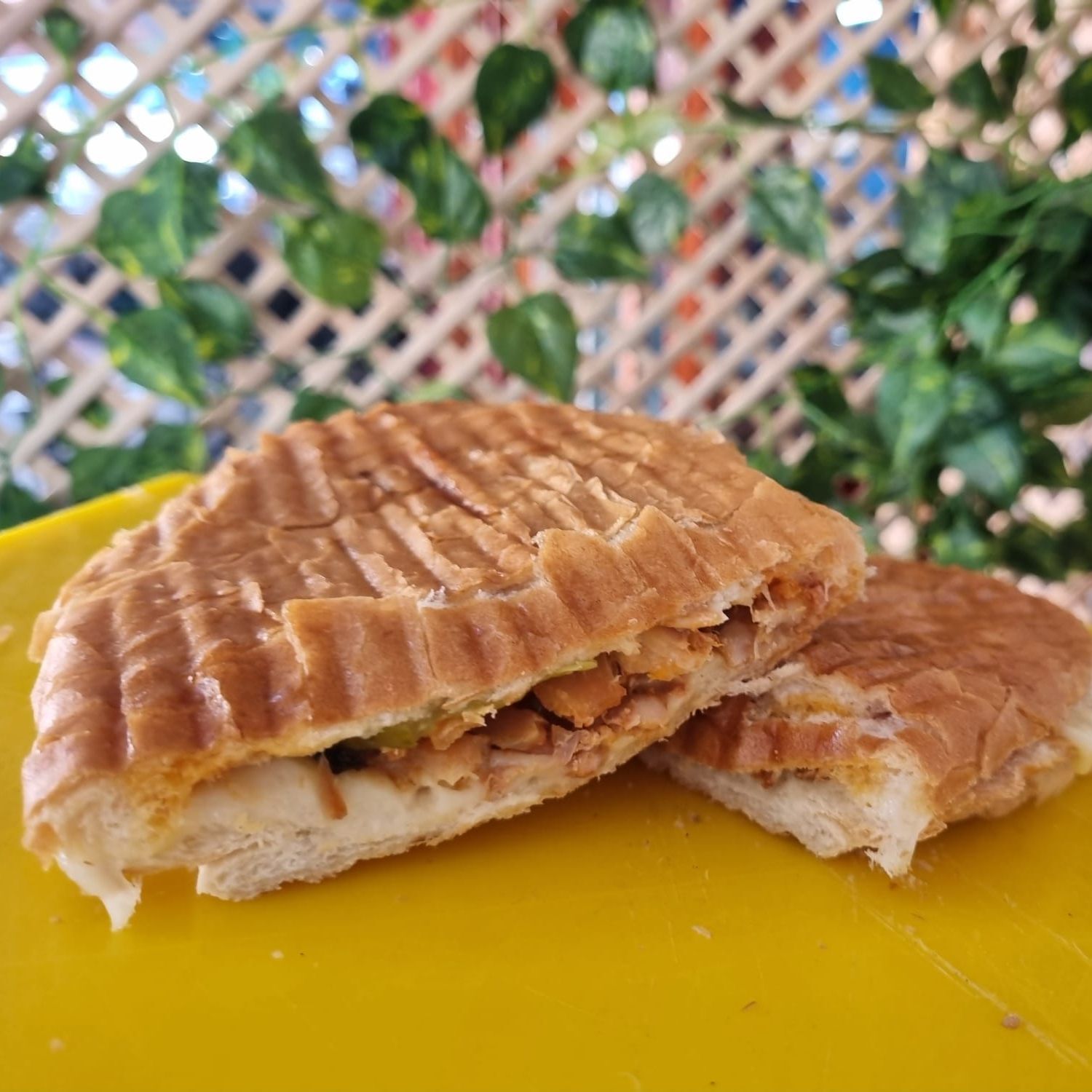 Tavuk Döner Tost