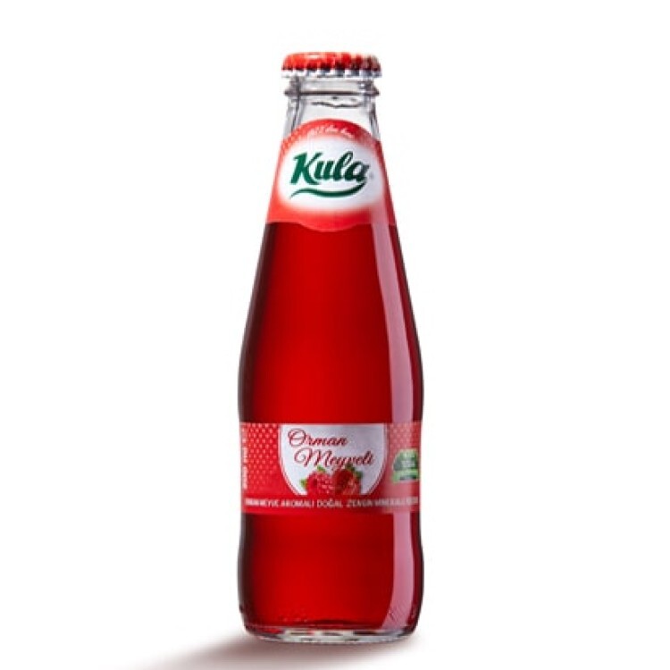 Orman Meyveli Soda (200 ml)