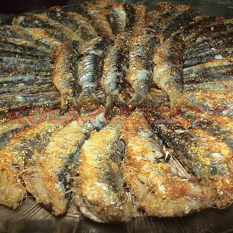 Sardalya Porsiyon