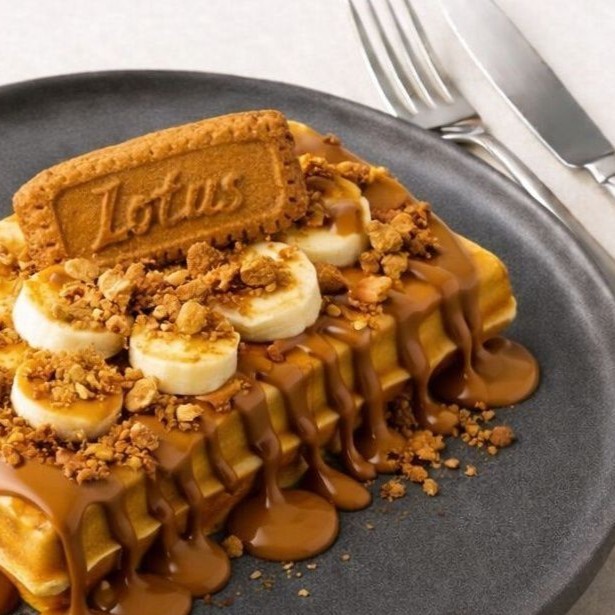 Tino Lotus Rüyası