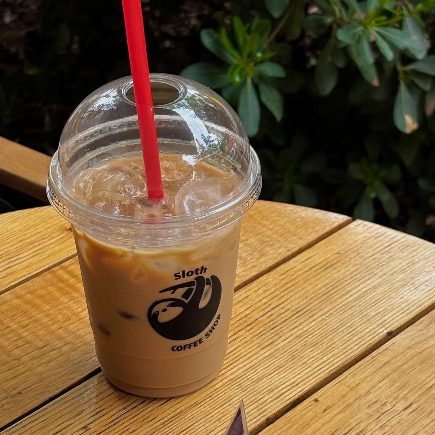 Iced Caramel Latte (45 cl.)