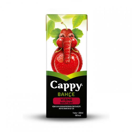 Cappy Meyve Suyu (20 cl.)