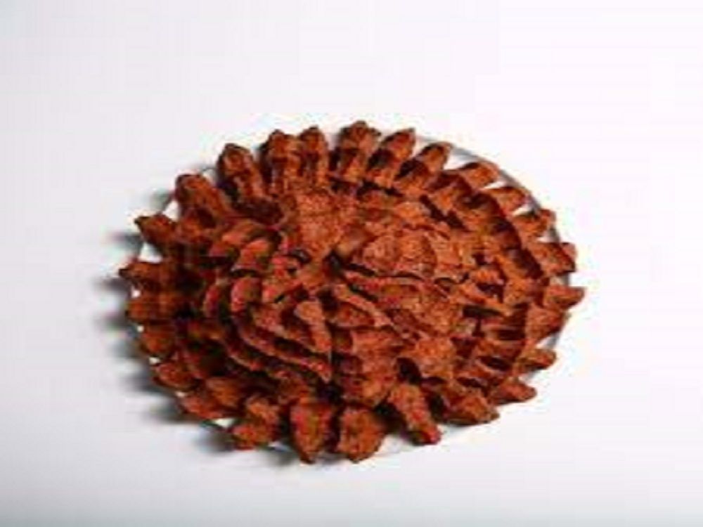 Çiğ Köfte (1 kg) (Garnitürsüz)