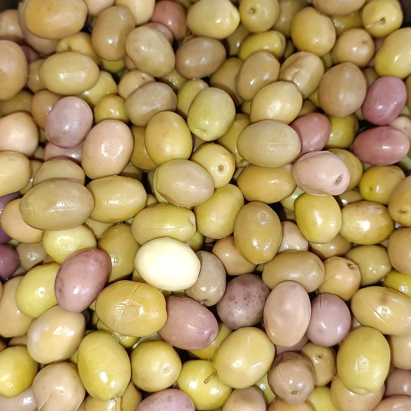 Çizik Zeytin