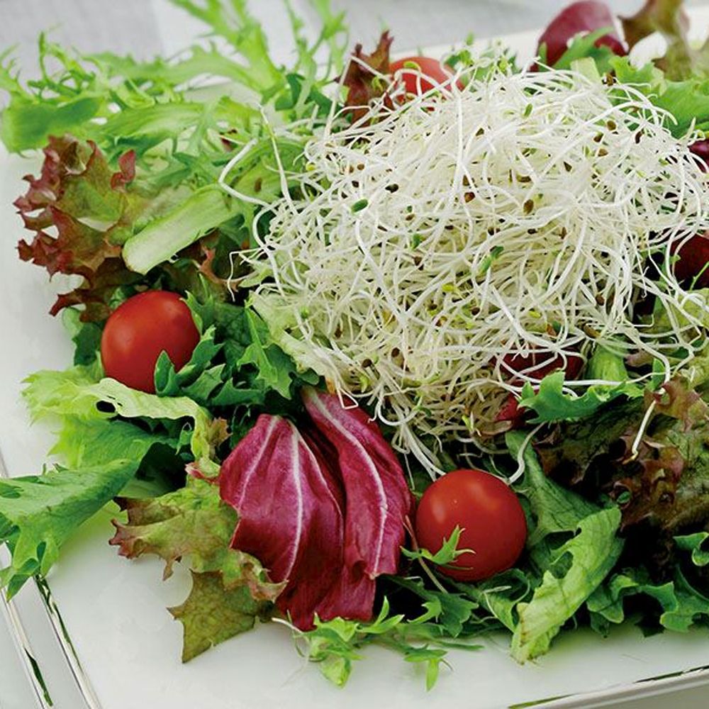 Akdeniz Soslu Salata