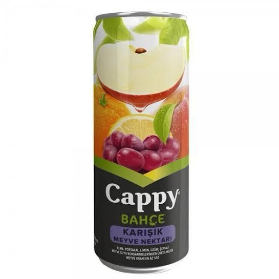 Capy Karışık Meyve Suyu