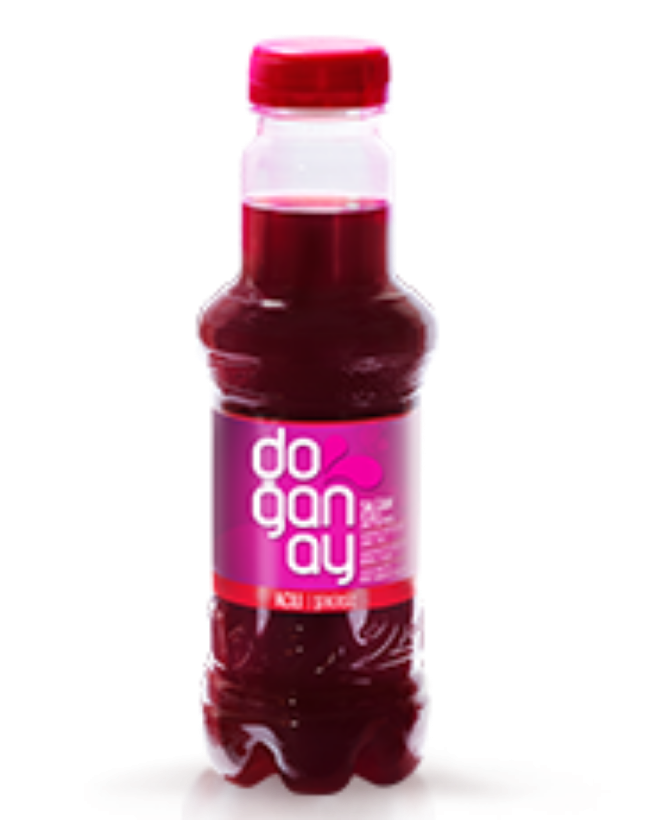 Doğanay Şalgam (30 cl.)