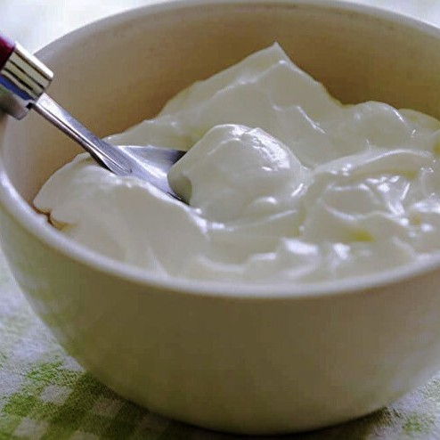 Yoğurt