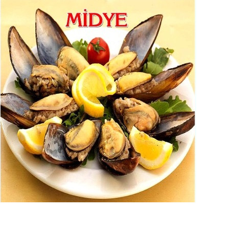 Adet Midye