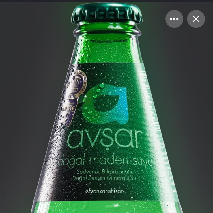 Avşar Sade Soda (200 ml)