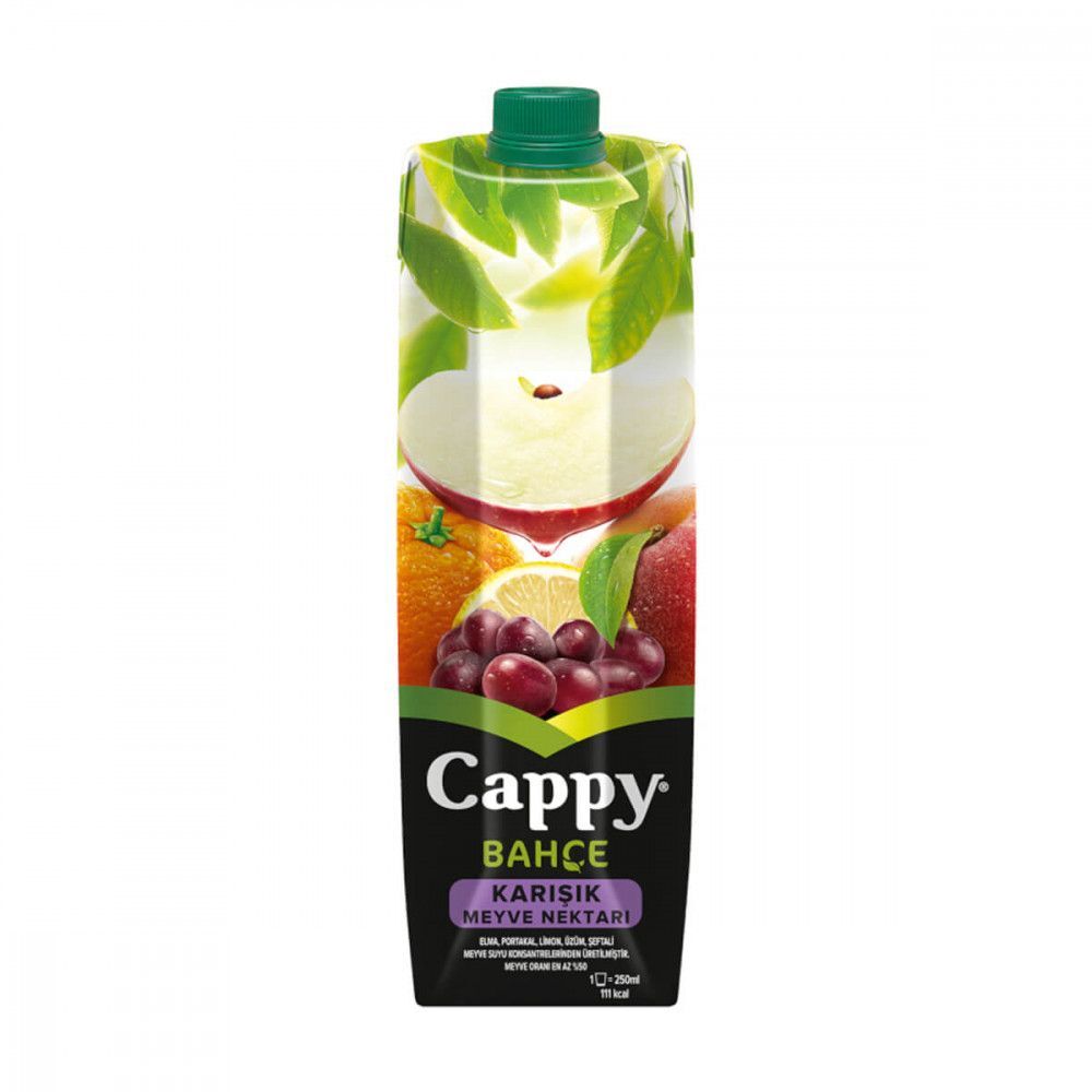 Karışık Cappy (1 L)