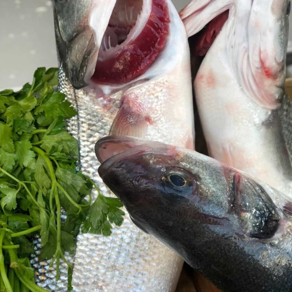 Günlük taze Deniz Levrek 1 kg