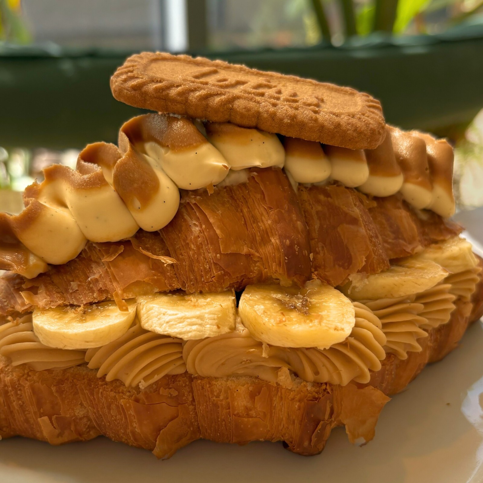 Lotus Bliss Croissant