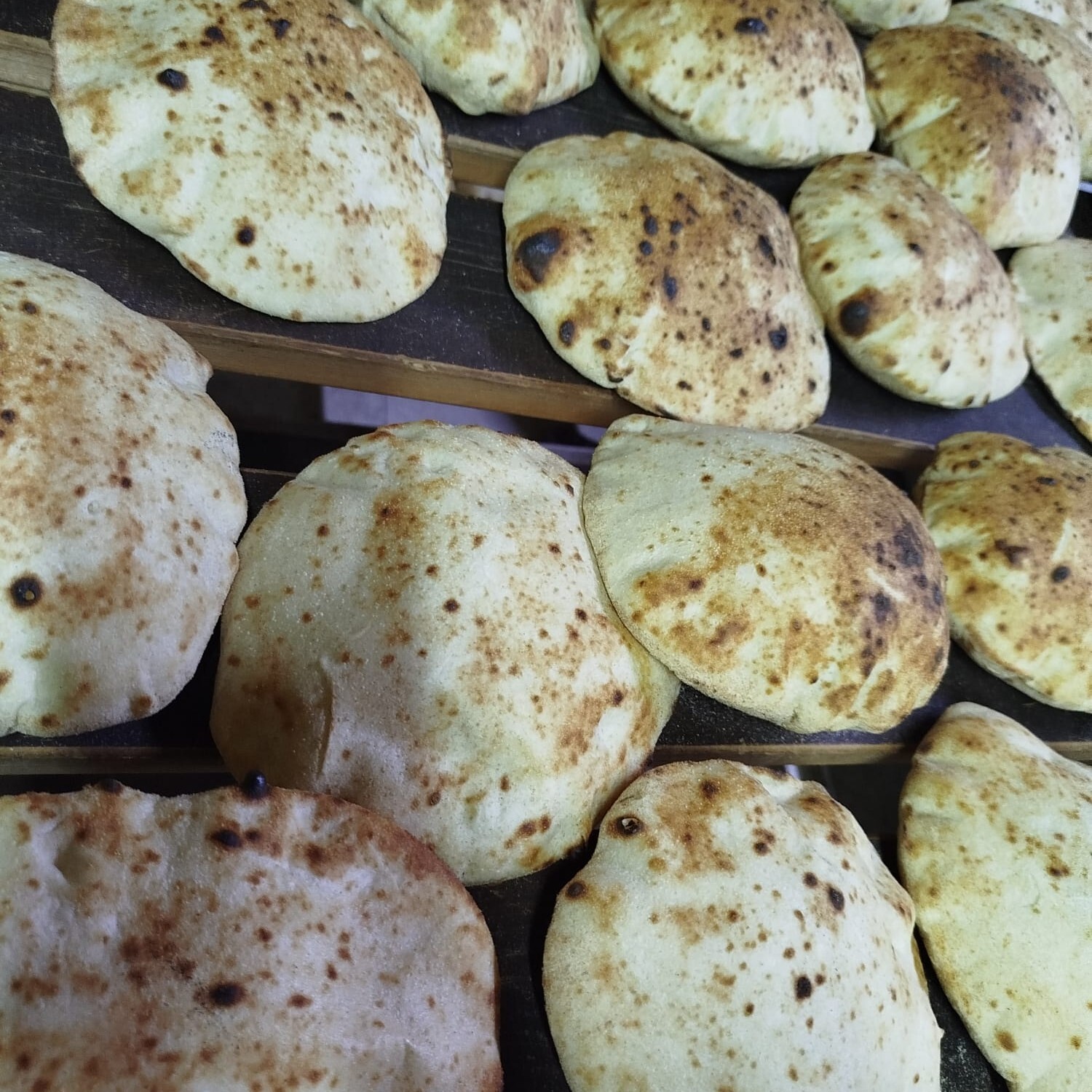 Gobit Ekmek(Adet)