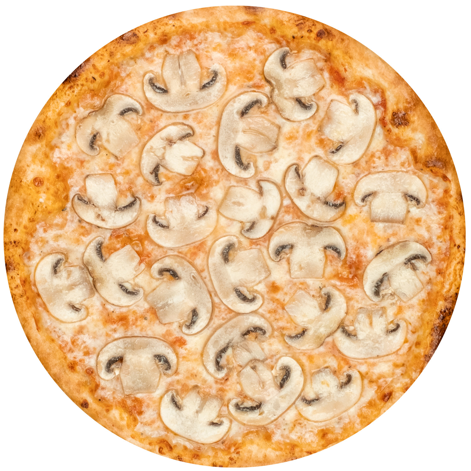 Funghi Pizza (Büyük)