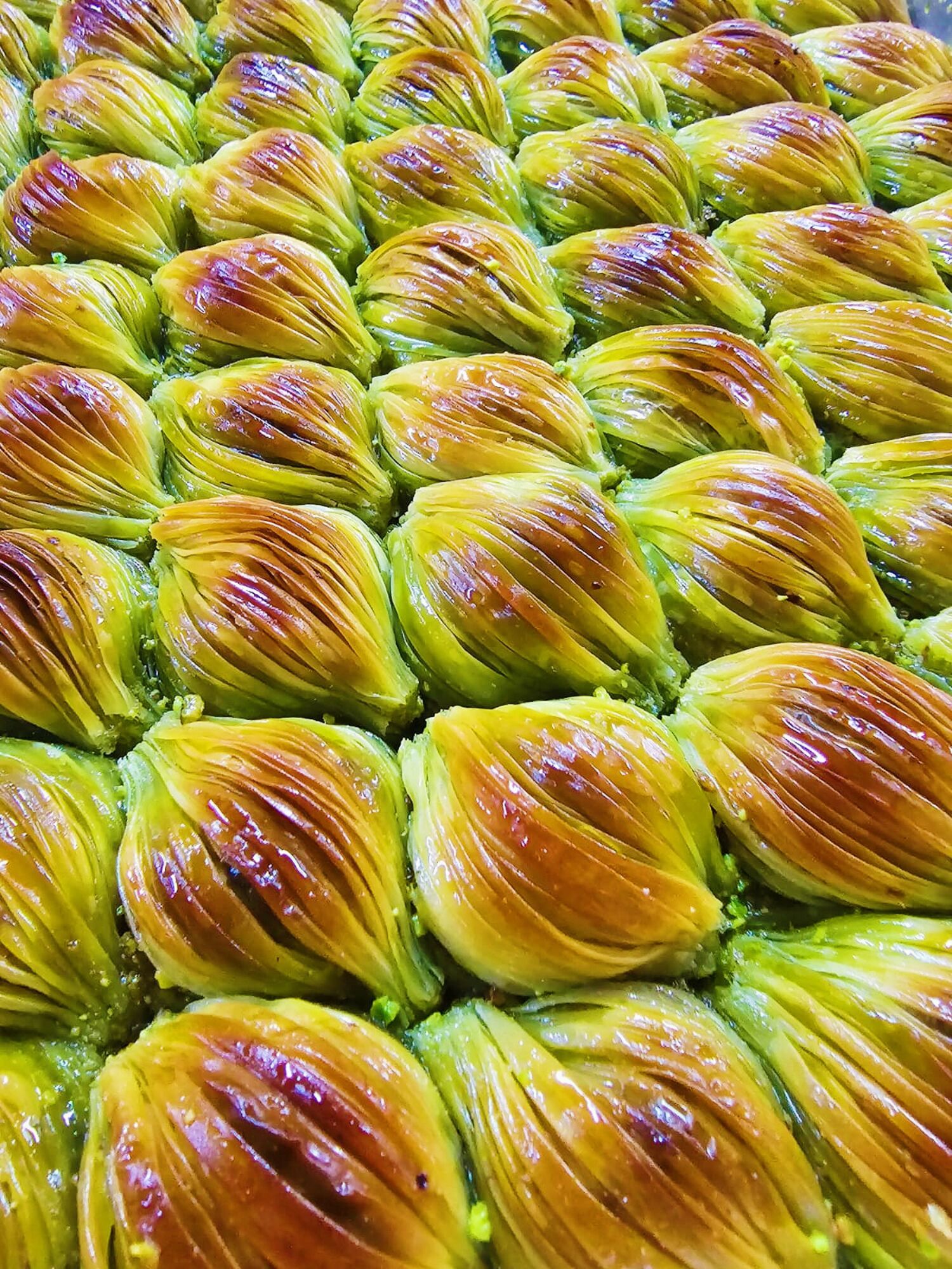 Midye