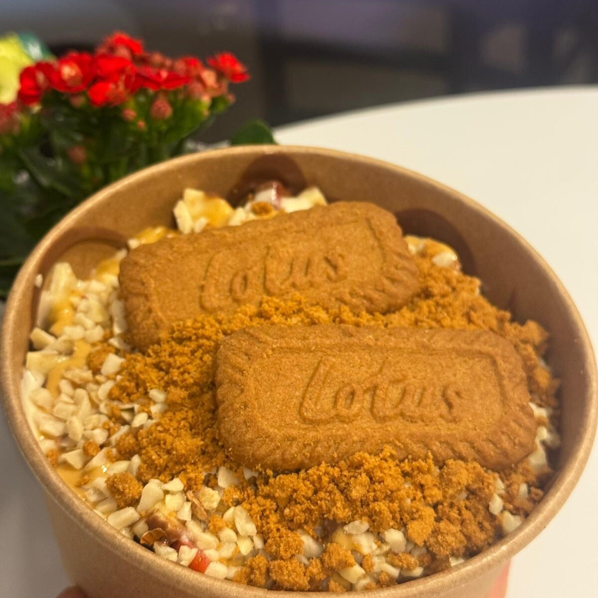 Lotus Kova Waffle (Büyük Boy)